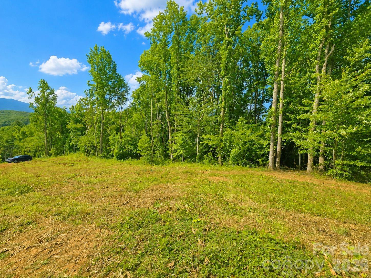 271 Sorrells Cove Road Unit: C2