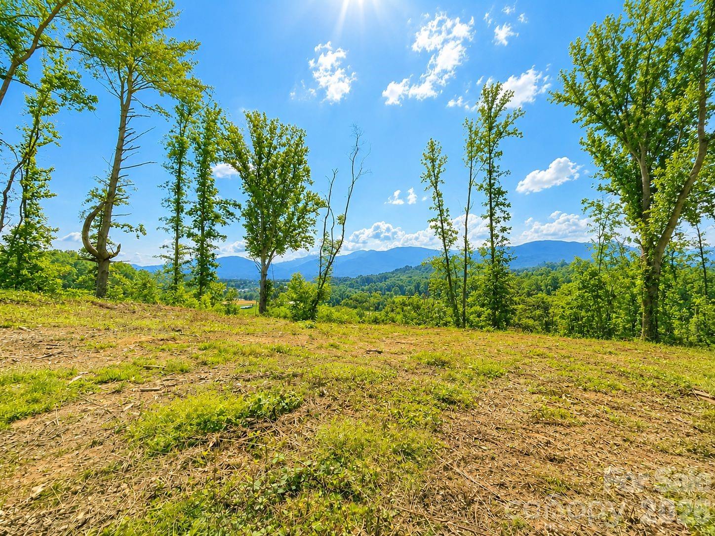 271 Sorrells Cove Road Unit: C2