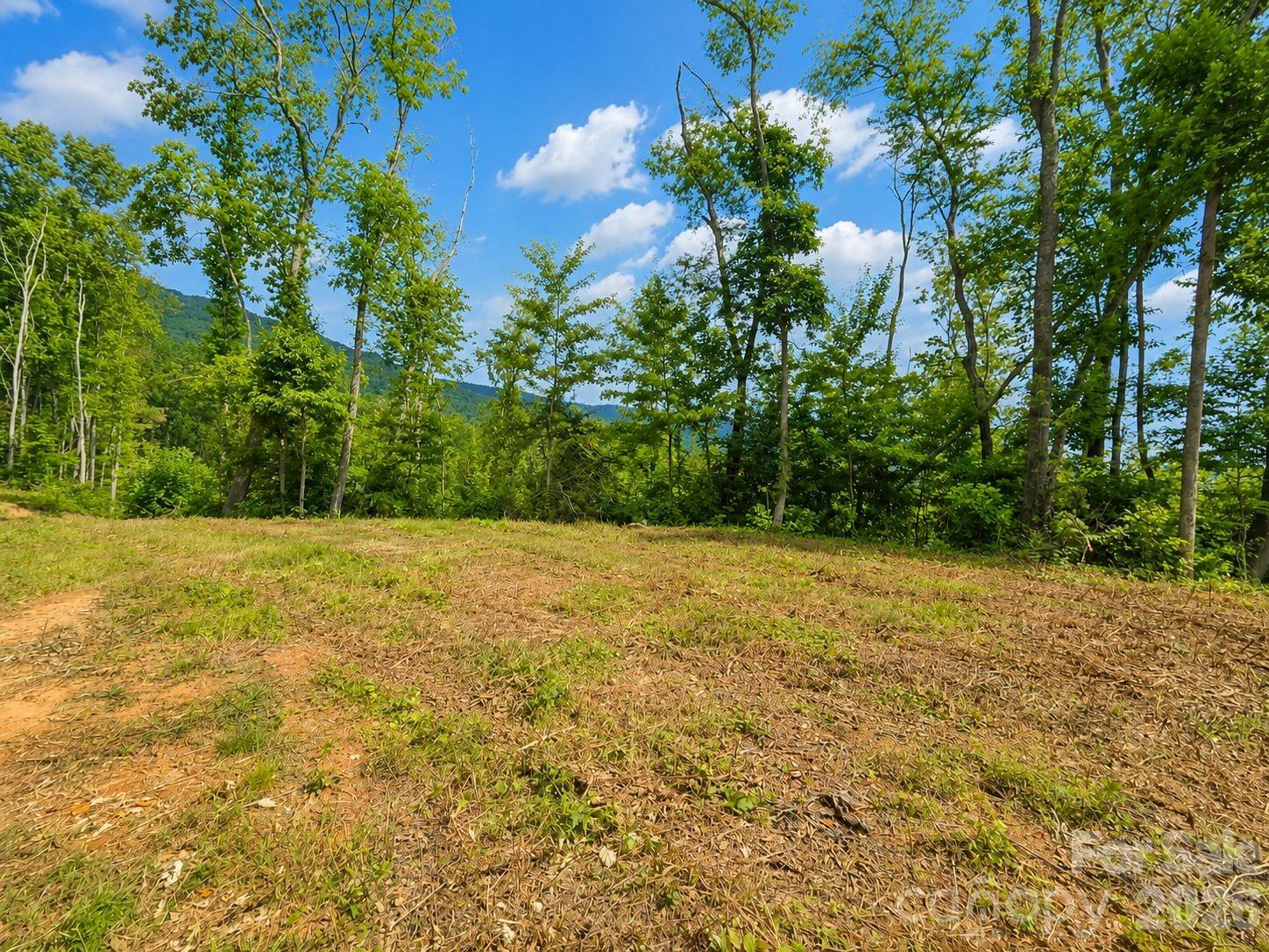 275 Sorrells Cove Road Unit: C1