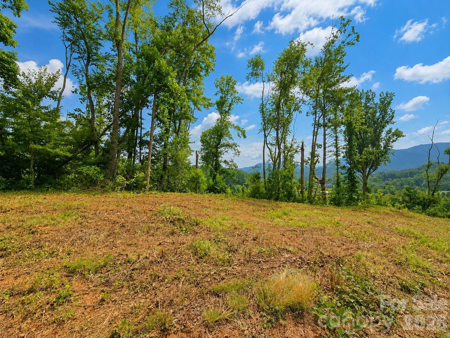 275 Sorrells Cove Road Unit: C1