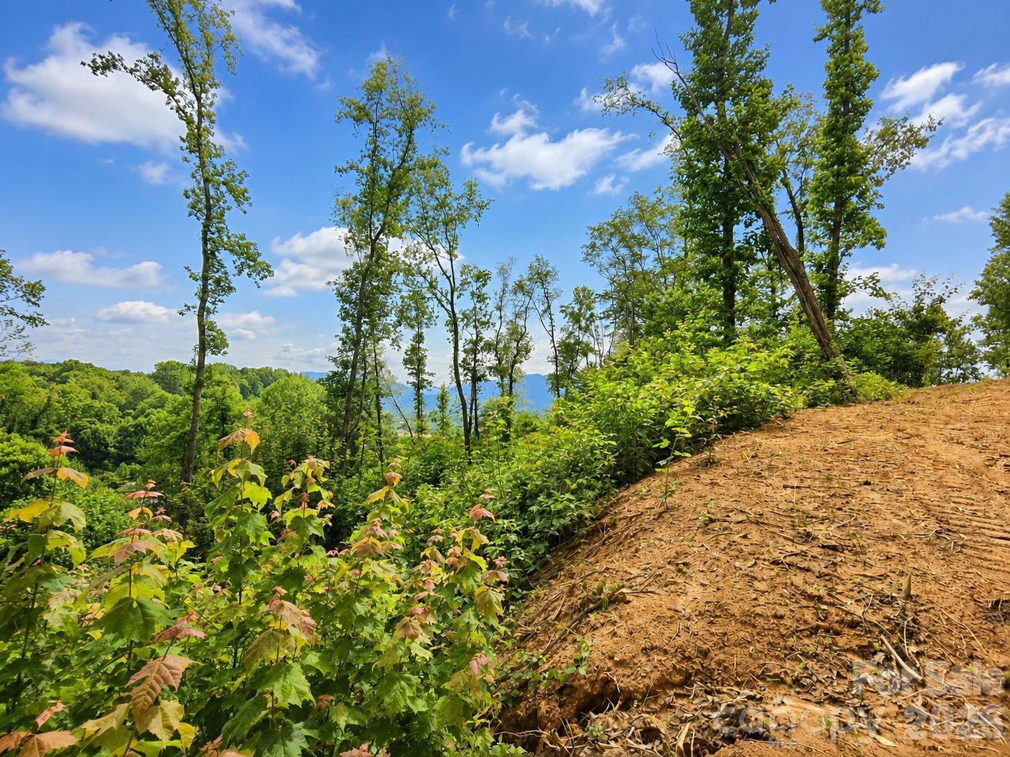 275 Sorrells Cove Road Unit: C1