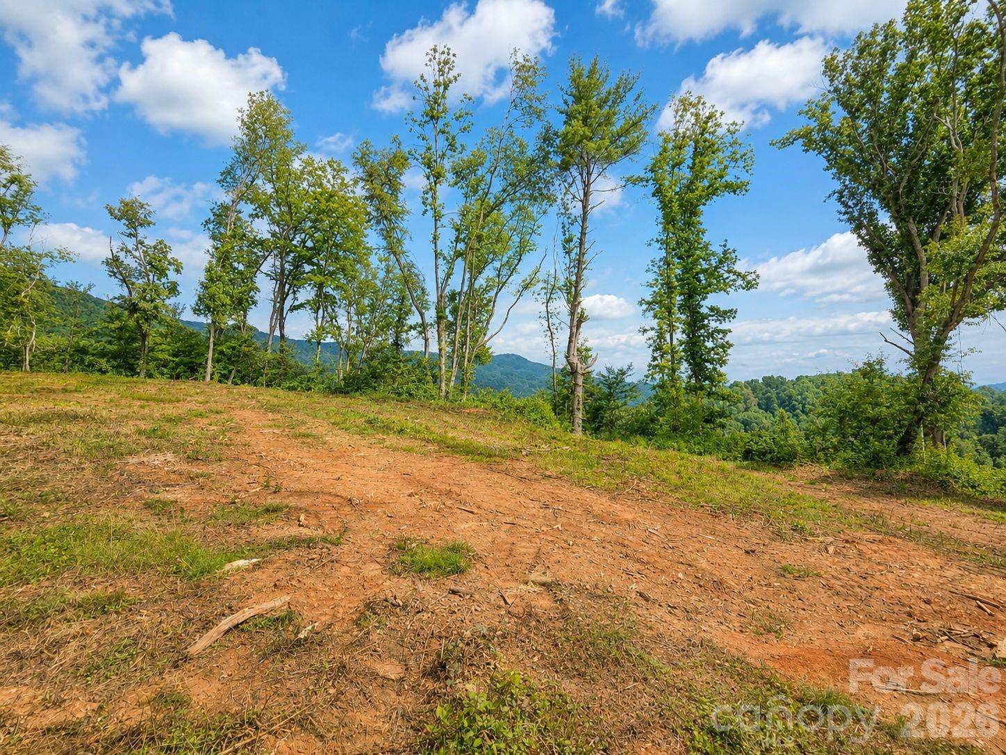 275 Sorrells Cove Road Unit: C1