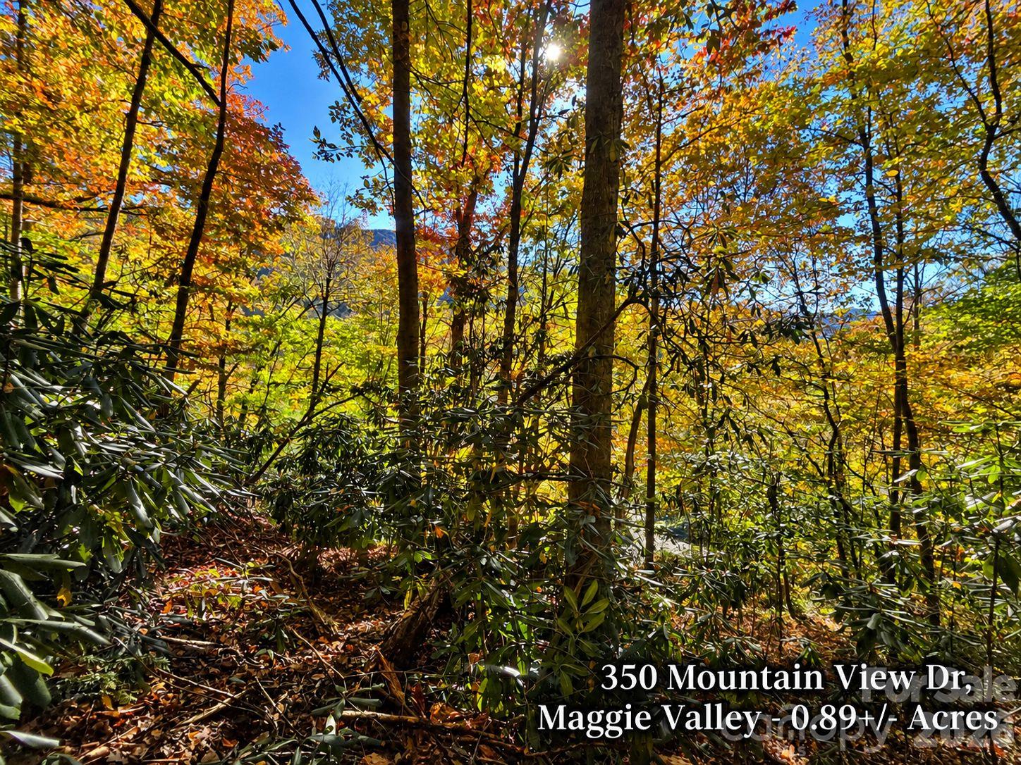 350 Mountain View Drive