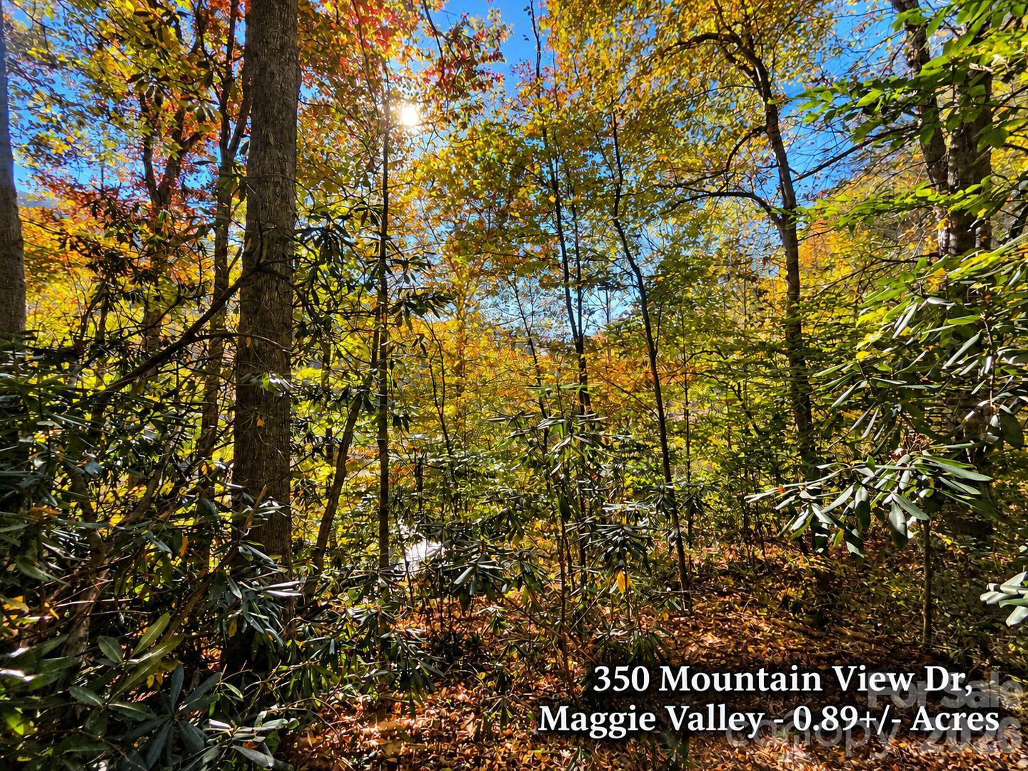 350 Mountain View Drive