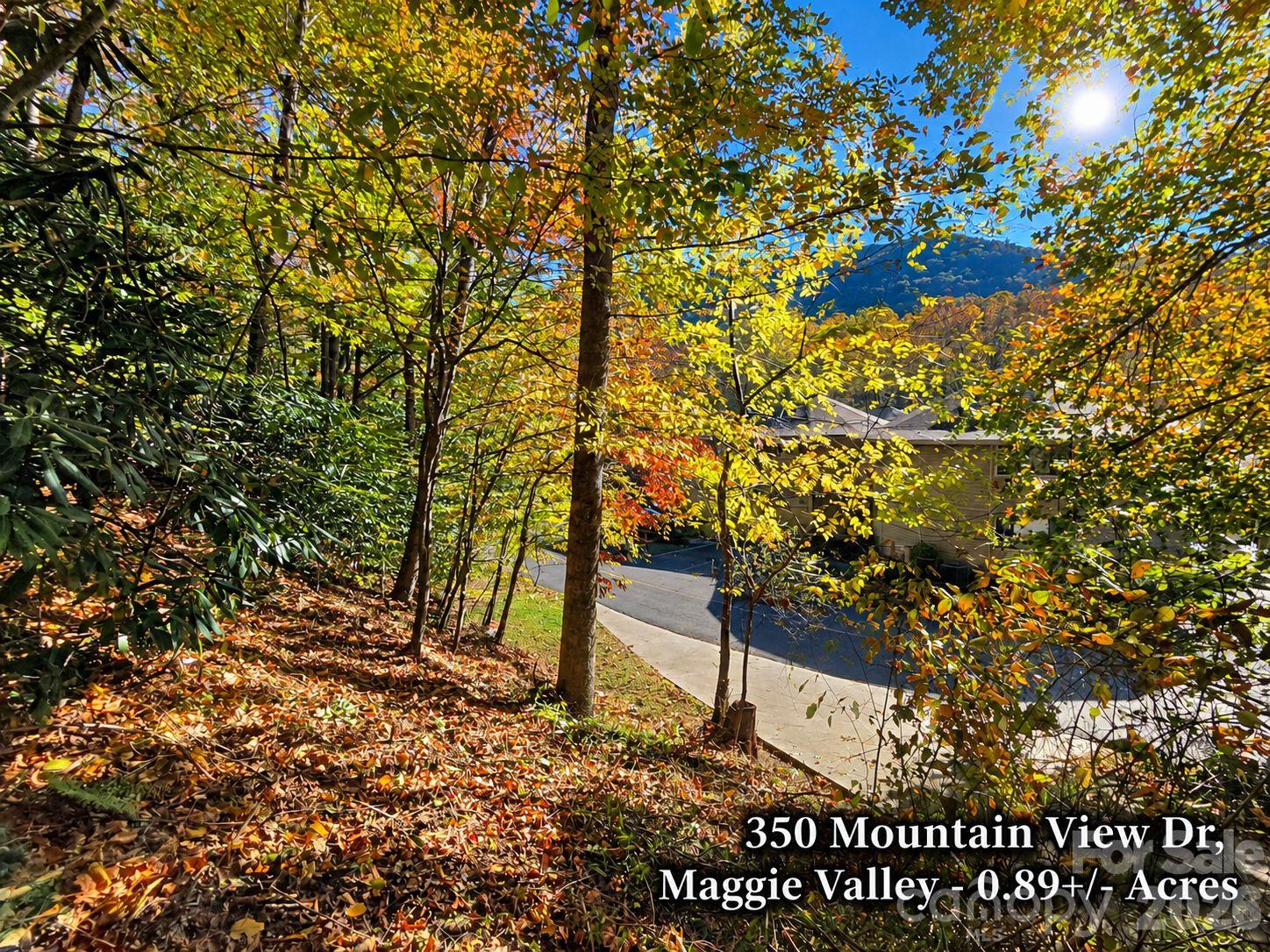 350 Mountain View Drive