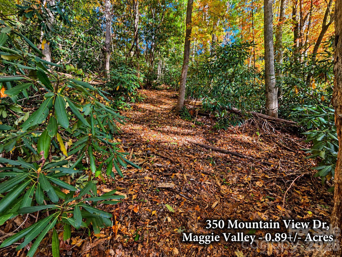 350 Mountain View Drive