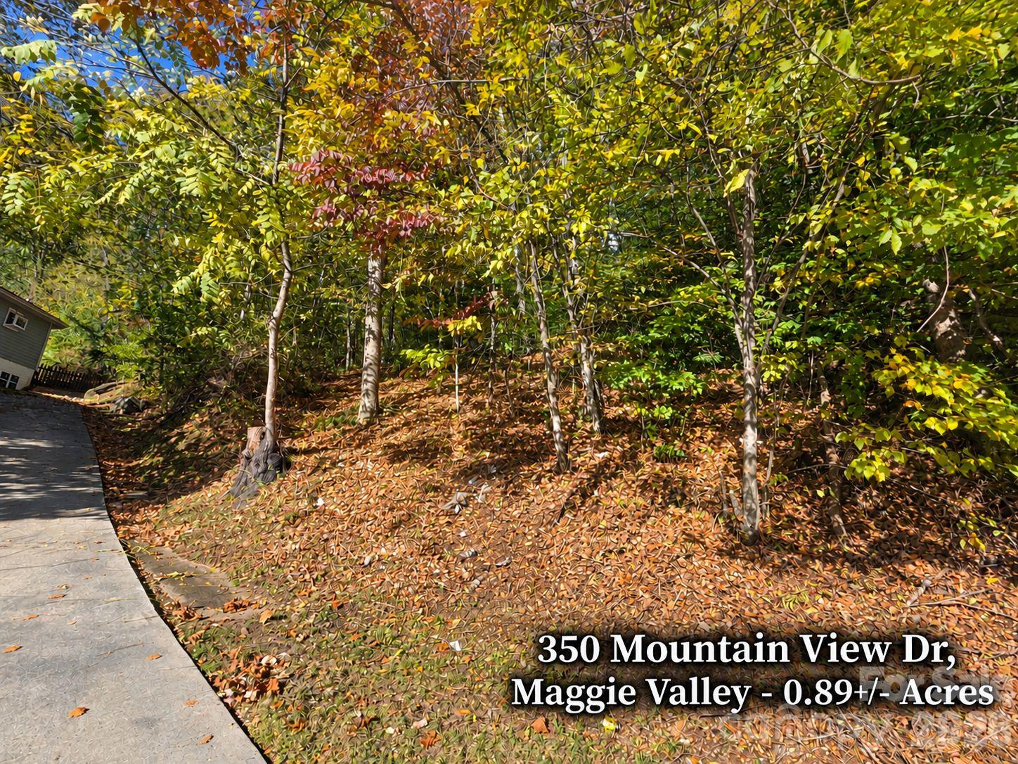 350 Mountain View Drive