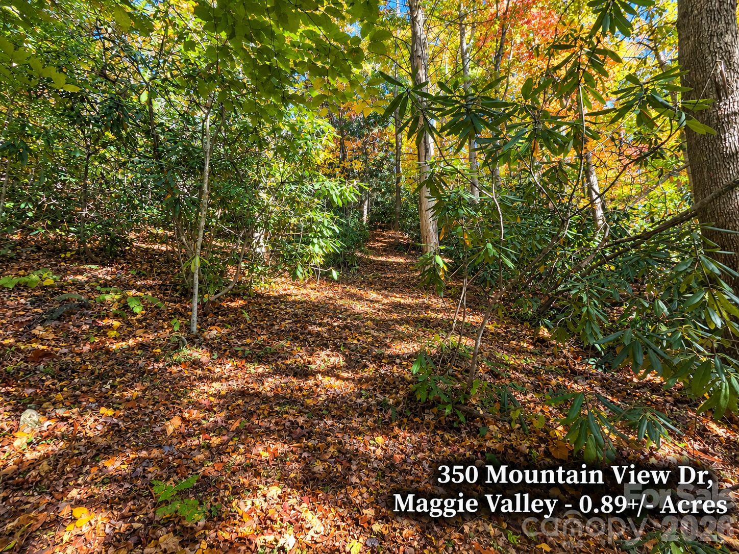 350 Mountain View Drive