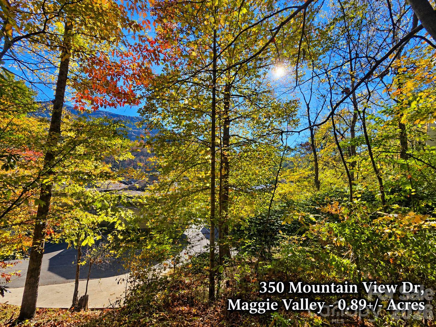 350 Mountain View Drive