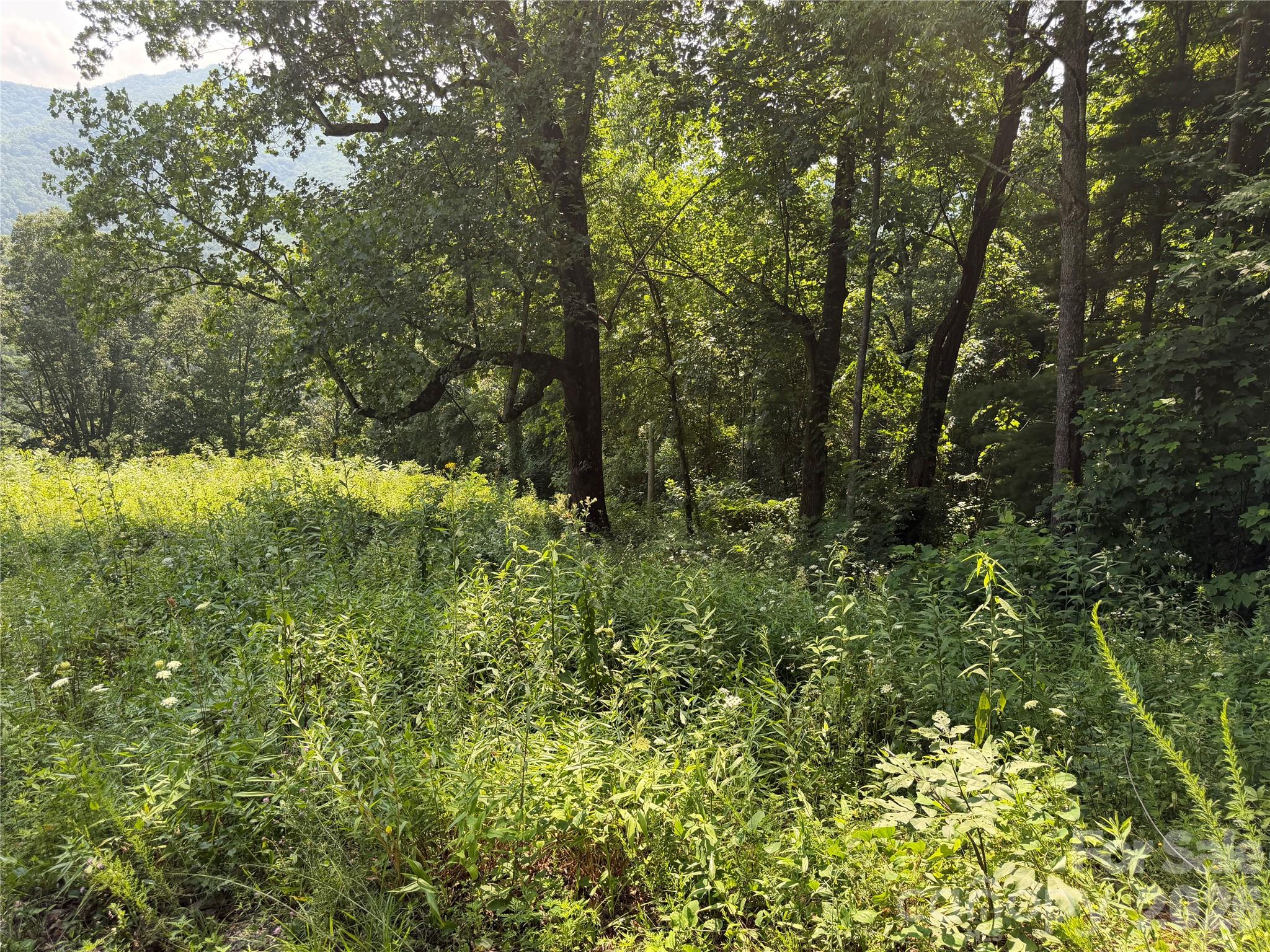0000 Sorrells Creek Road