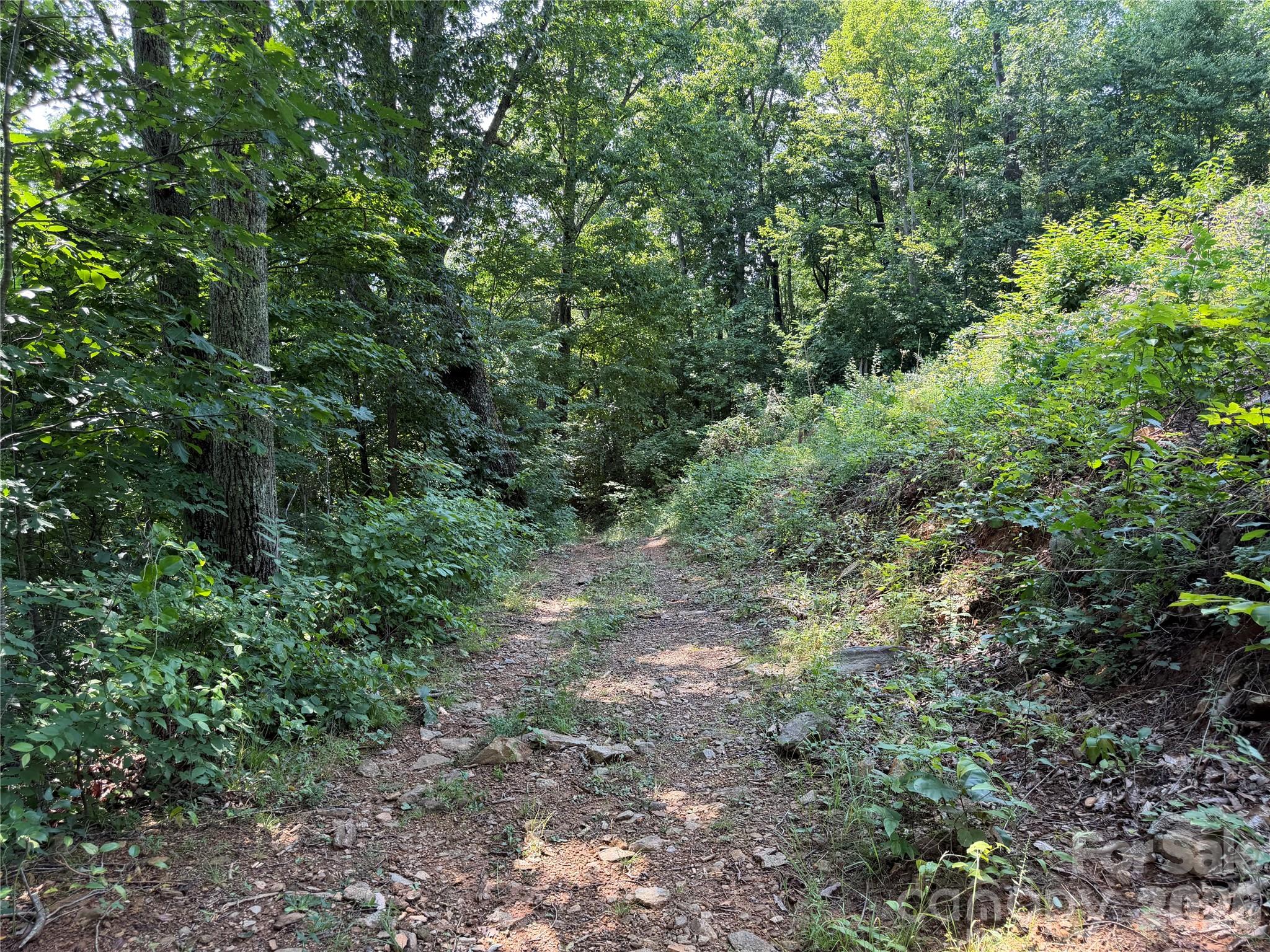 0000 Sorrells Creek Road