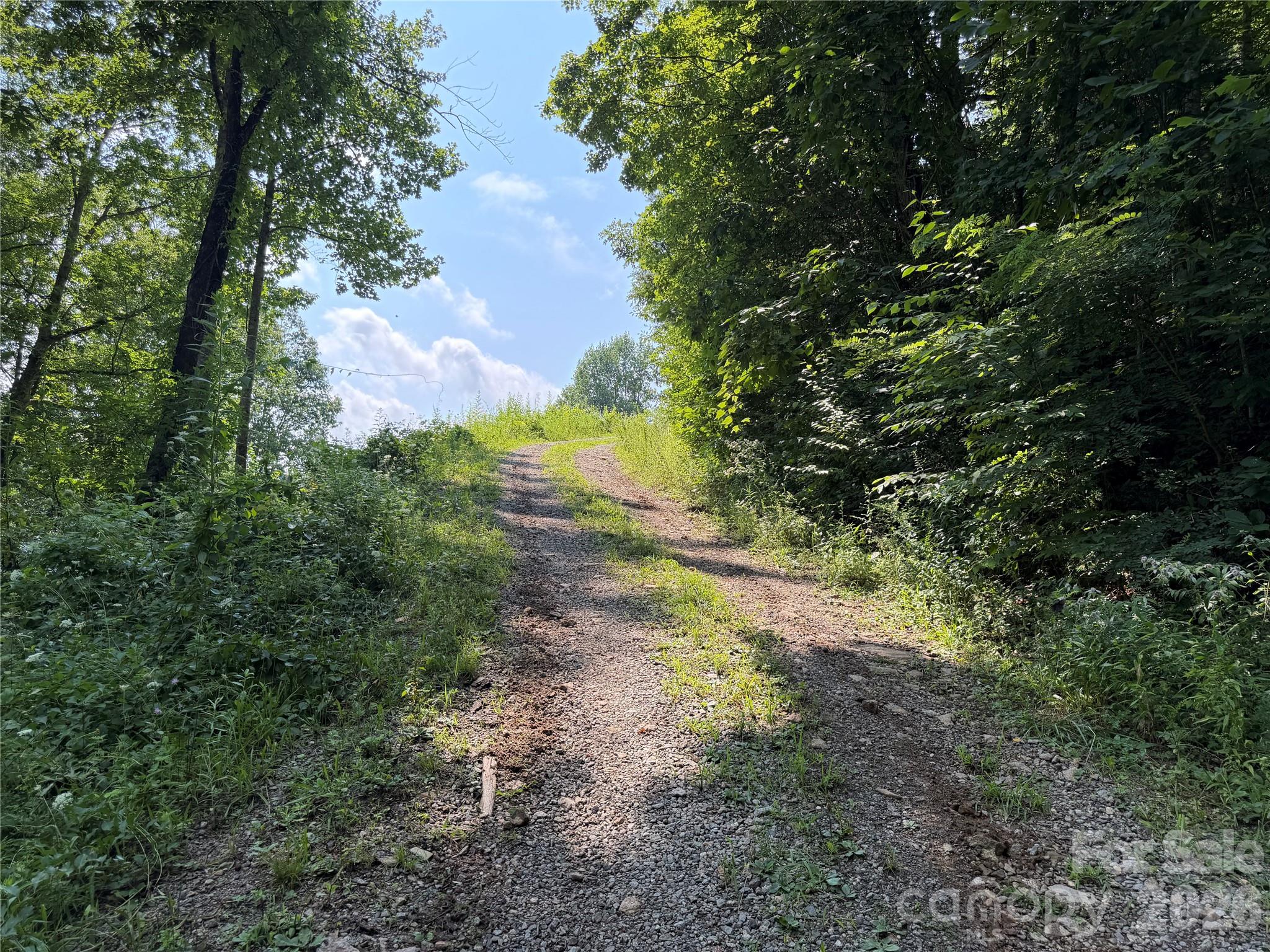 0000 Sorrells Creek Road
