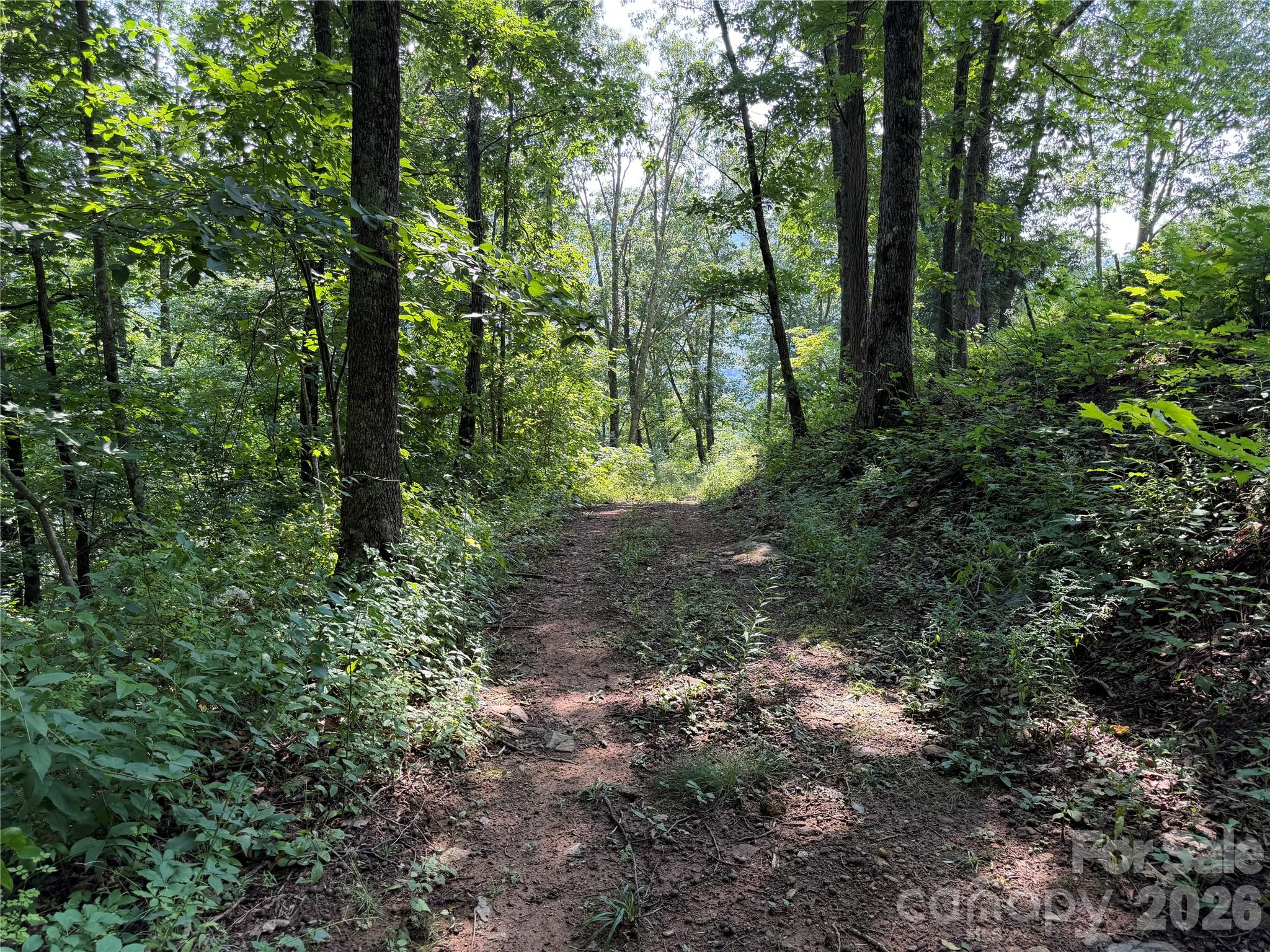 0000 Sorrells Creek Road