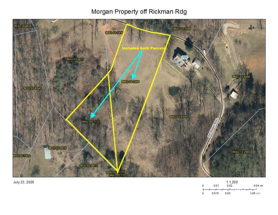 Aerial parcel map marking two Morgan property parcels beside Rickman Road with yellow outlines and a cyan arrow.