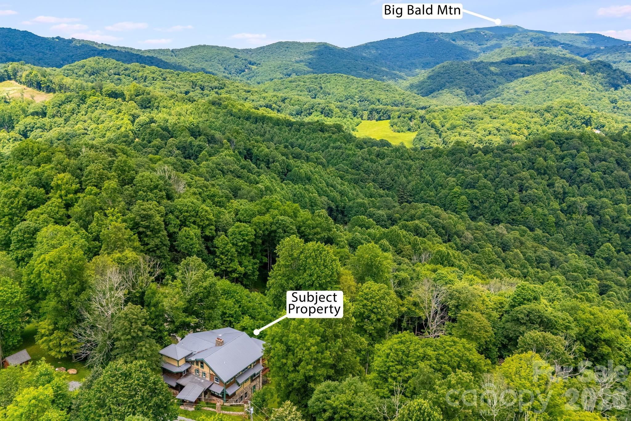 Aerial view of a house surrounded by forest, with Big Bald Mountain in the distance.