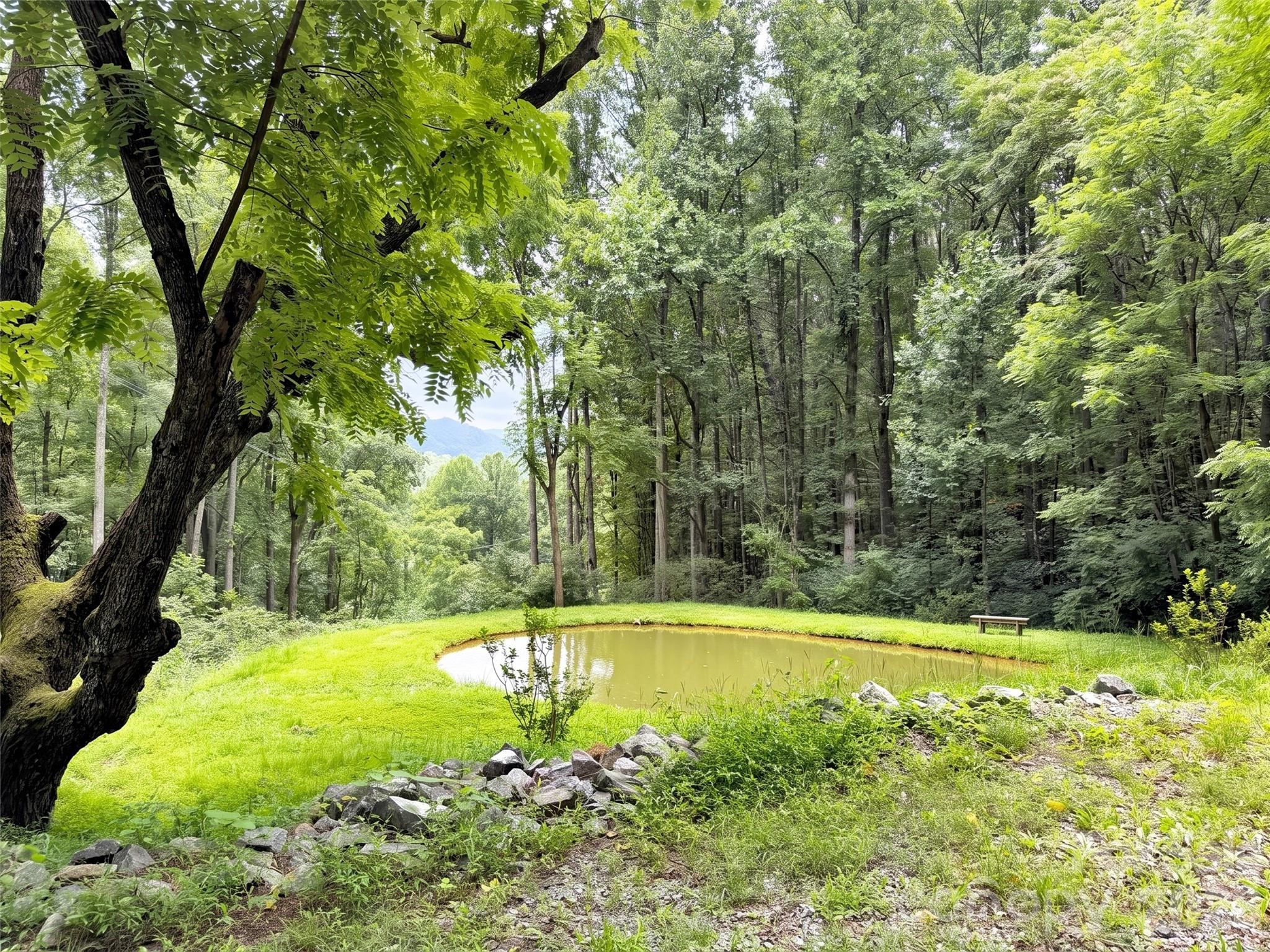 291 Incline Drive Drive