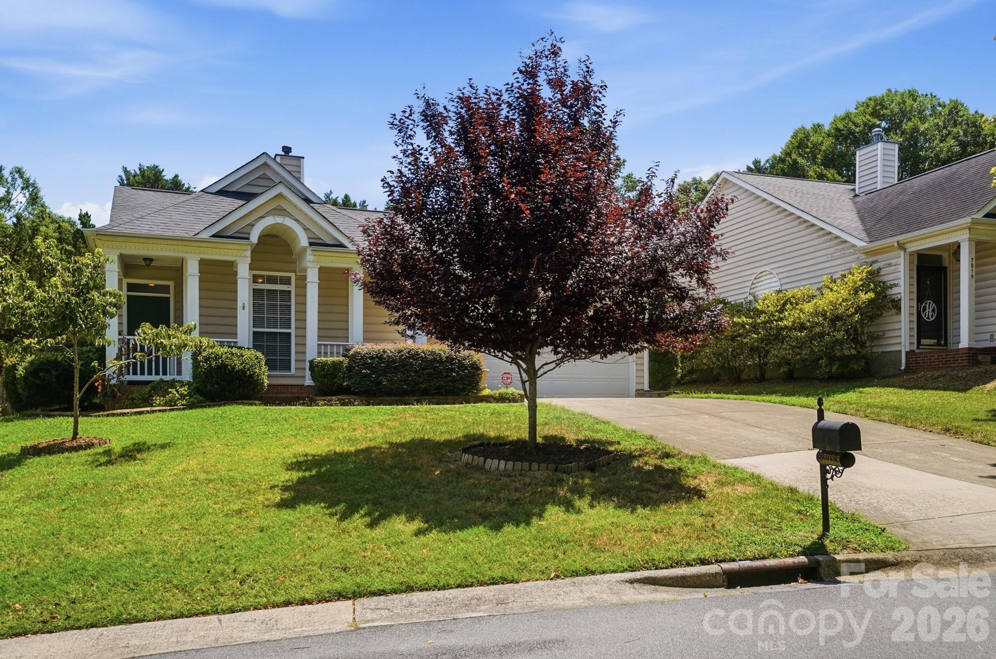 Single-story home with a covered porch, broad lawn, and burgundy-leaf tree in front.