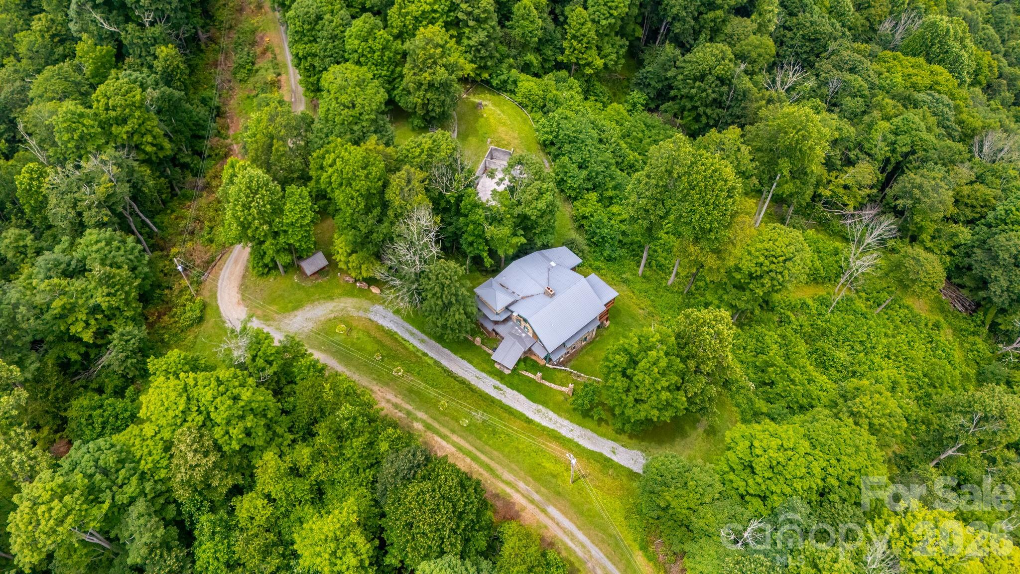 1185 Black Bear Drive