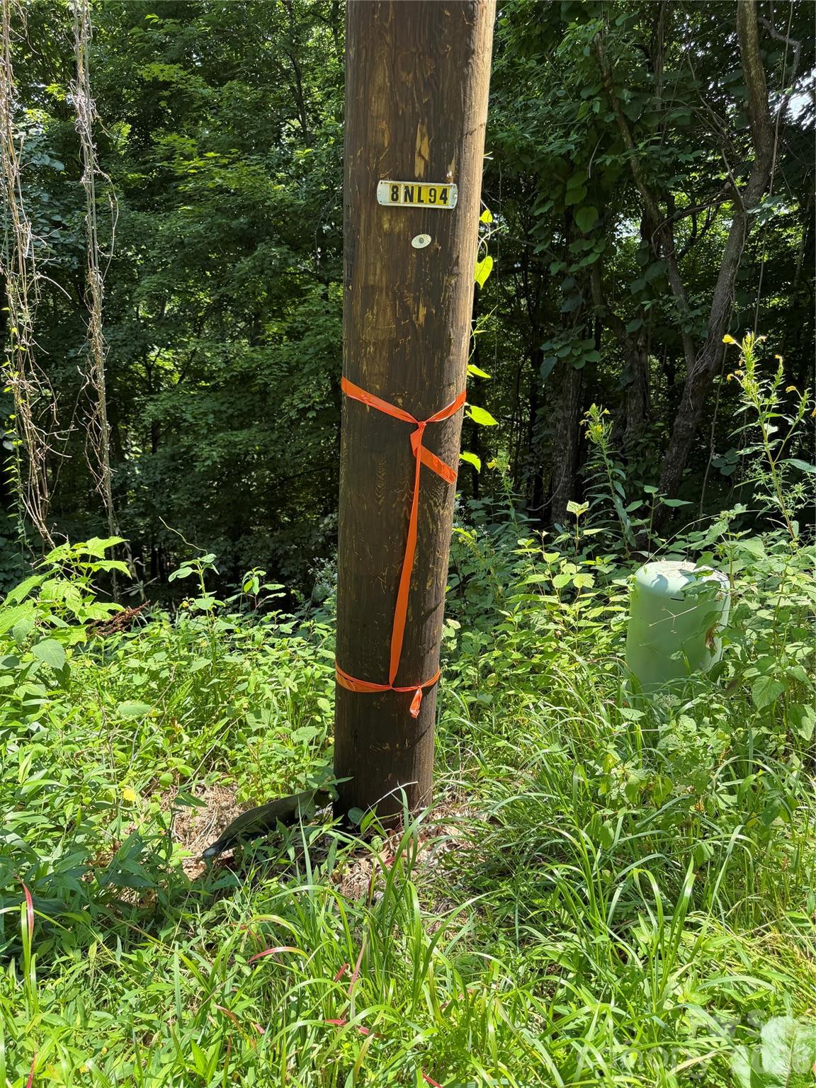 0000 Chimney Ridge Trail
