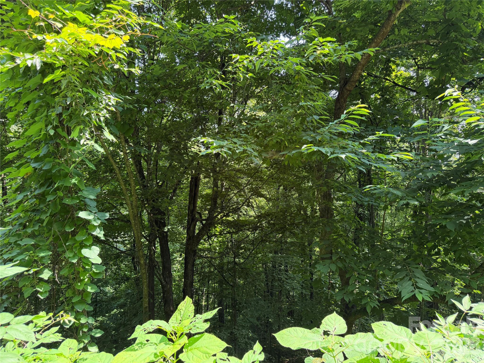 0000 Chimney Ridge Trail