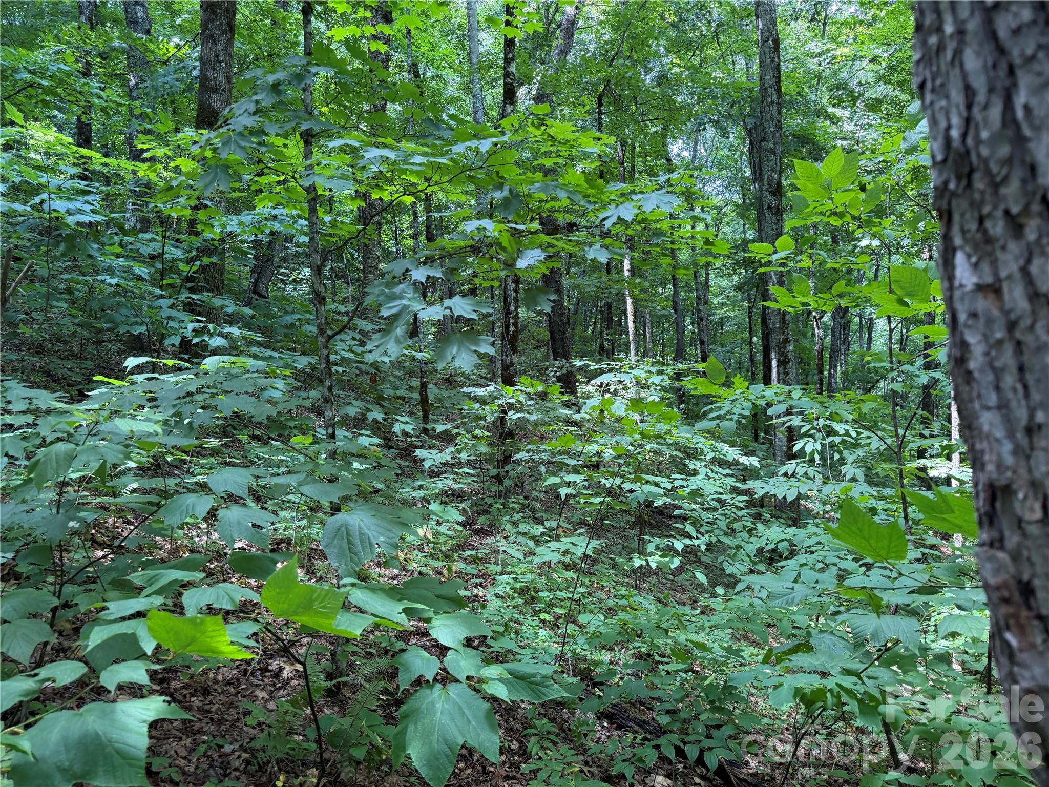 0000 Chimney Ridge Trail