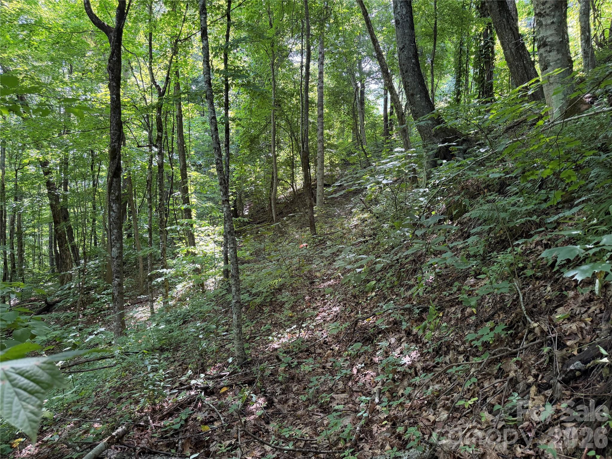 0000 Chimney Ridge Trail