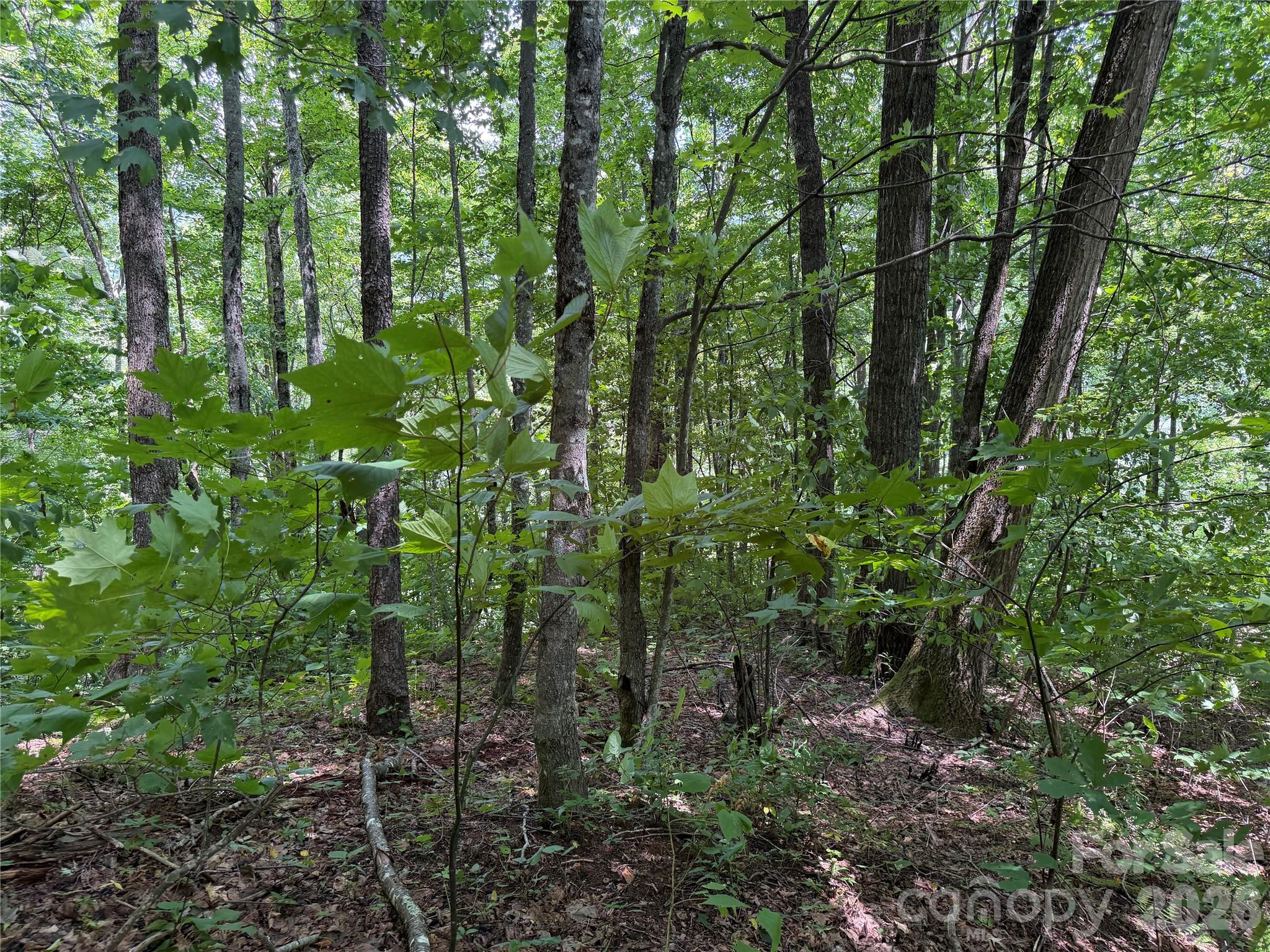 0000 Chimney Ridge Trail