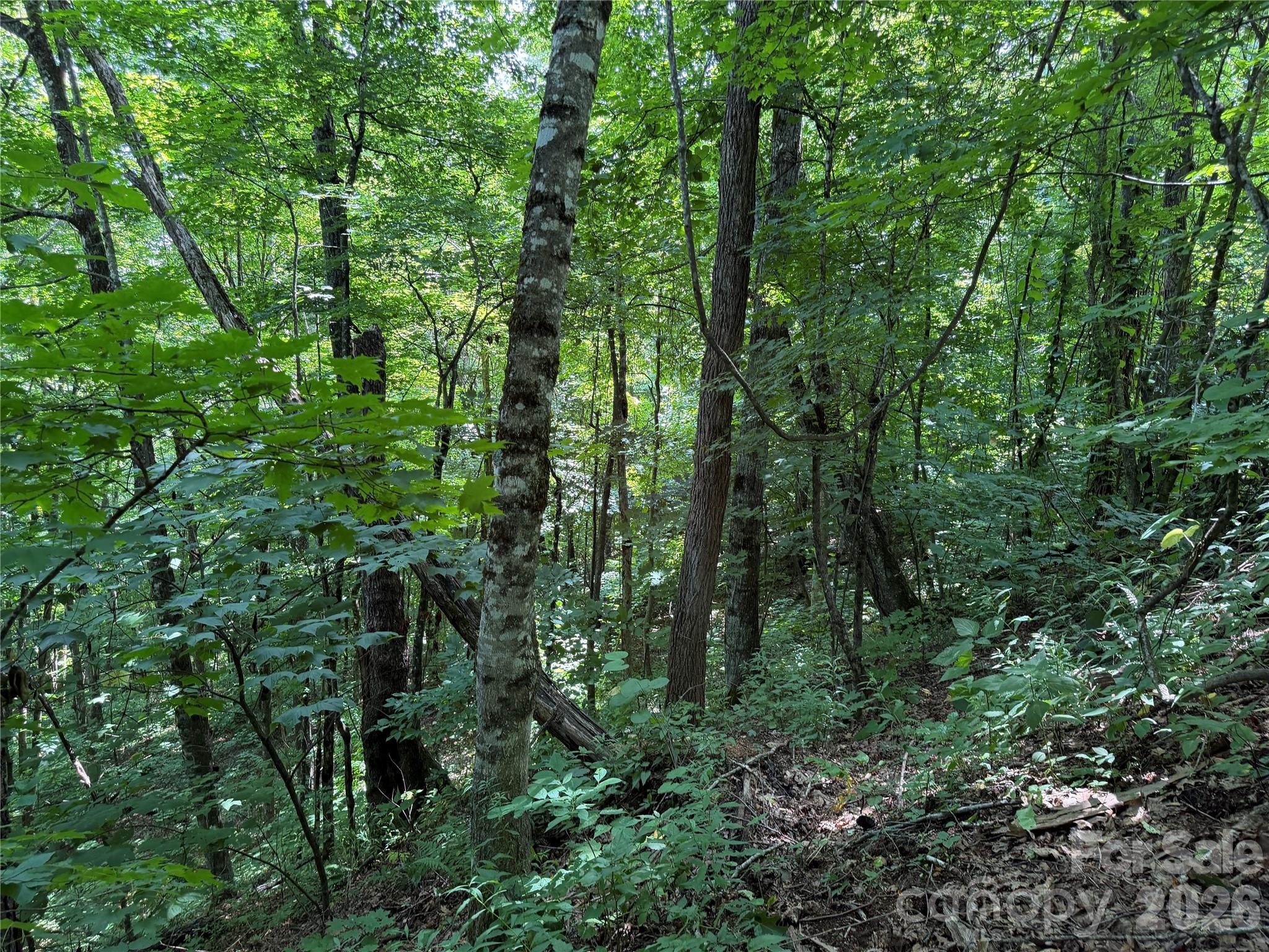 0000 Chimney Ridge Trail