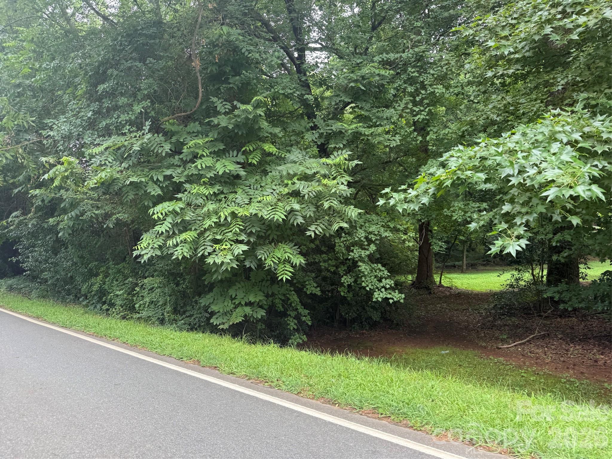 Wooded lot beside a paved road, with dense trees and a shaded opening.