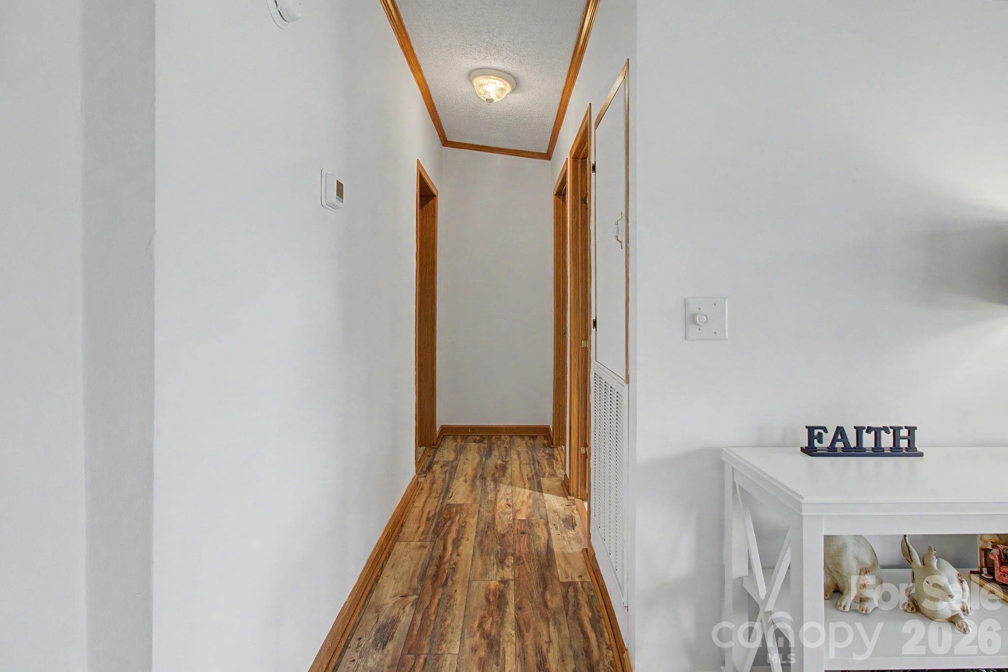 204 Red Birch Court