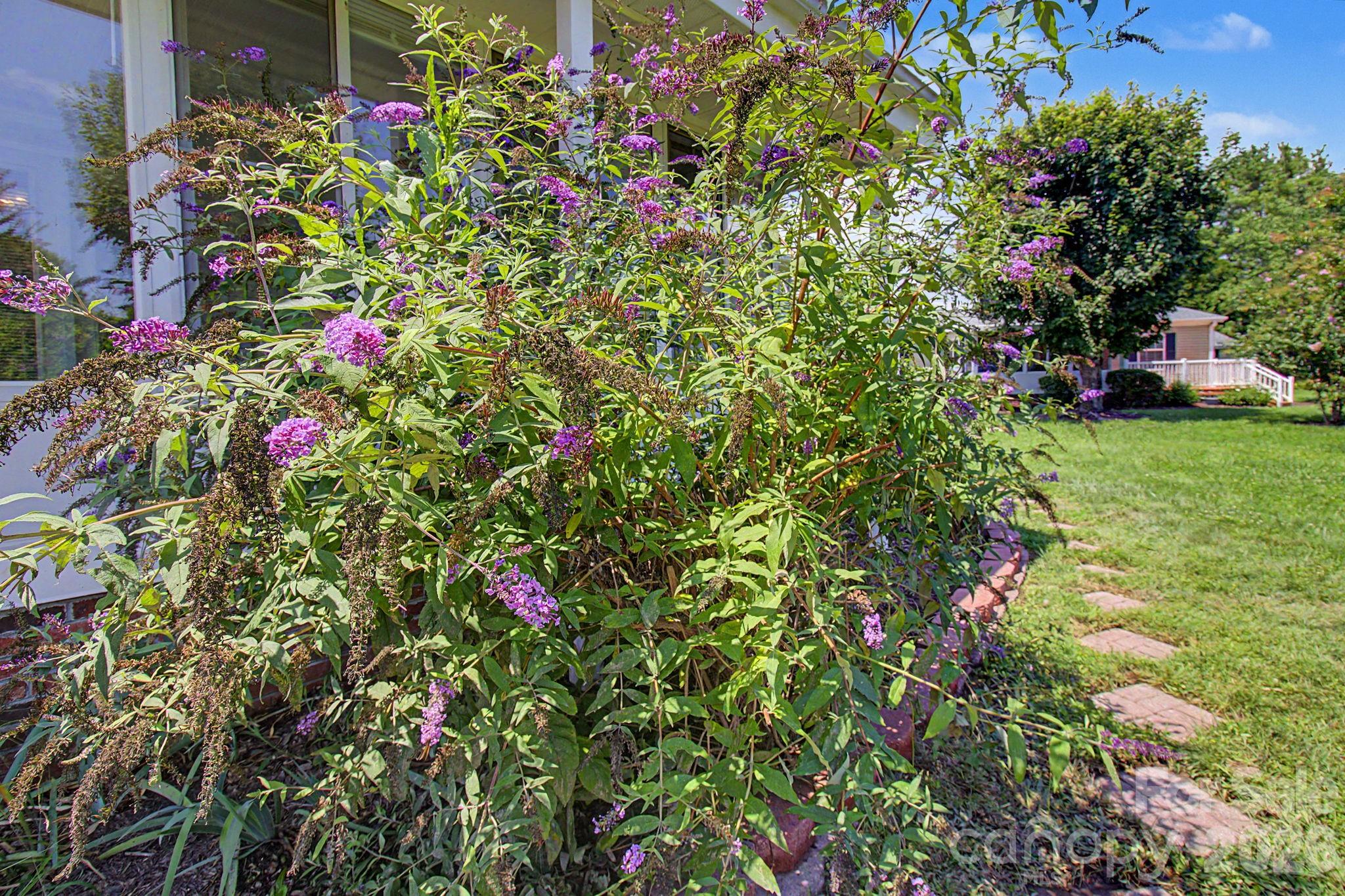 204 Red Birch Court