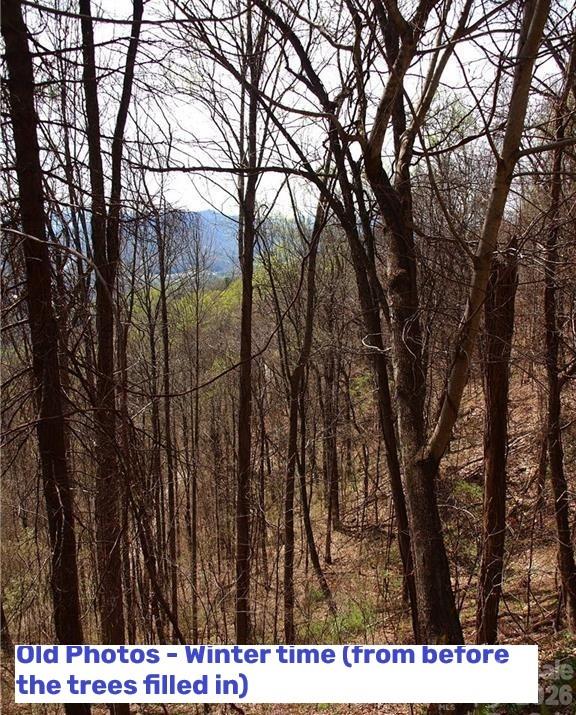 1000 Yonah Trail Unit: 7