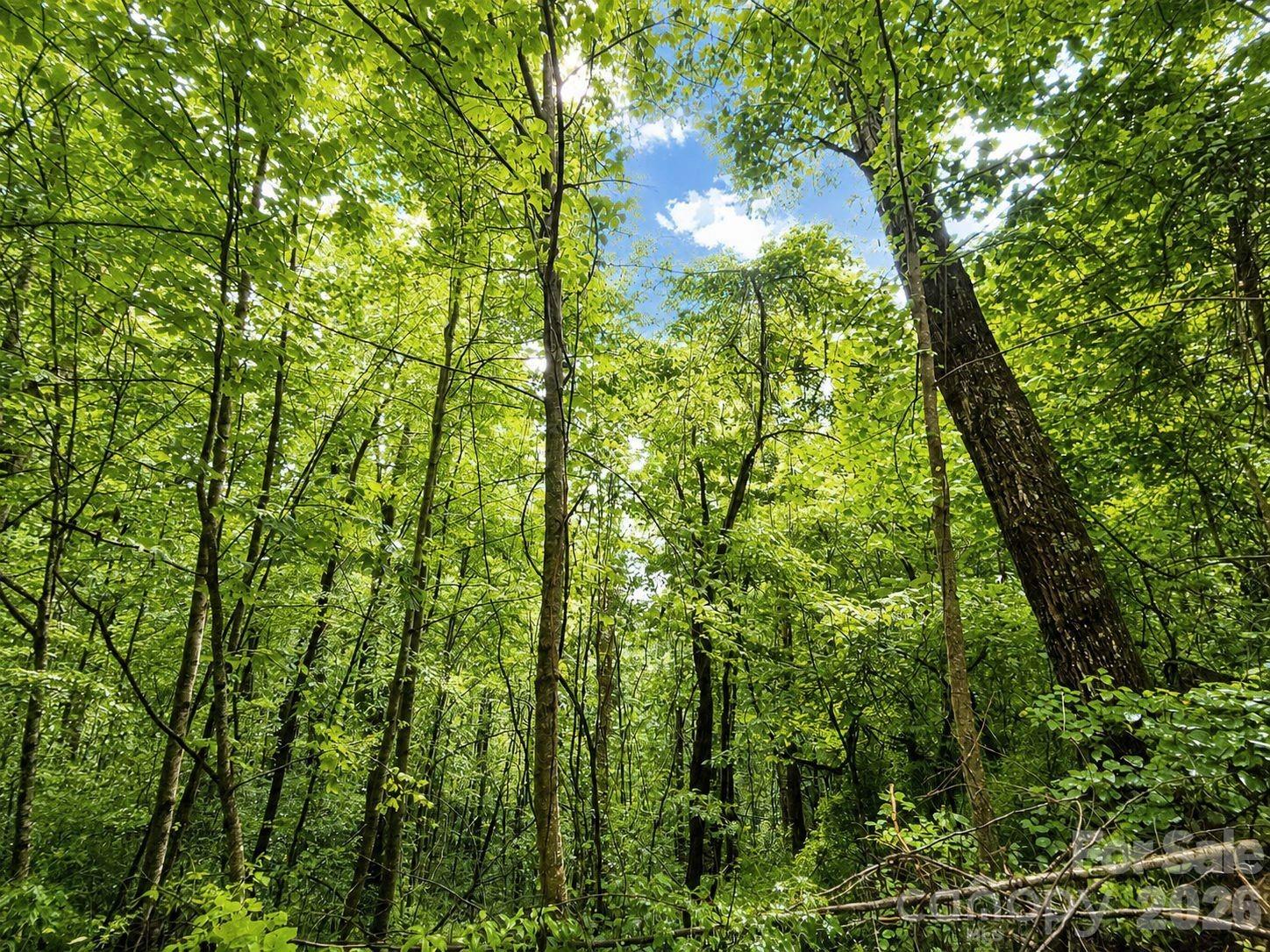 1000 Yonah Trail Unit: 7