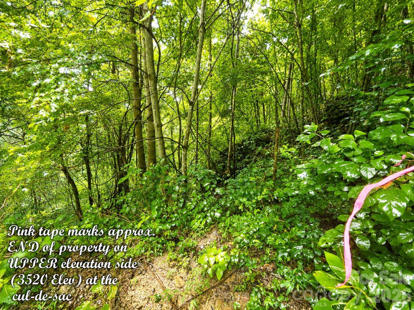 1000 Yonah Trail Unit: 7