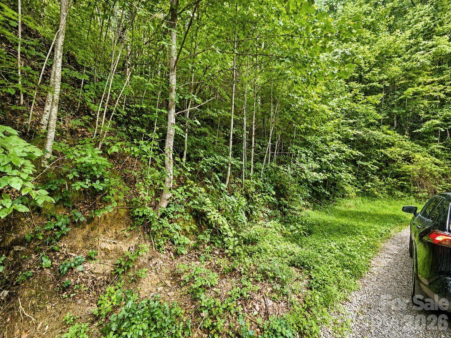 1000 Yonah Trail Unit: 7