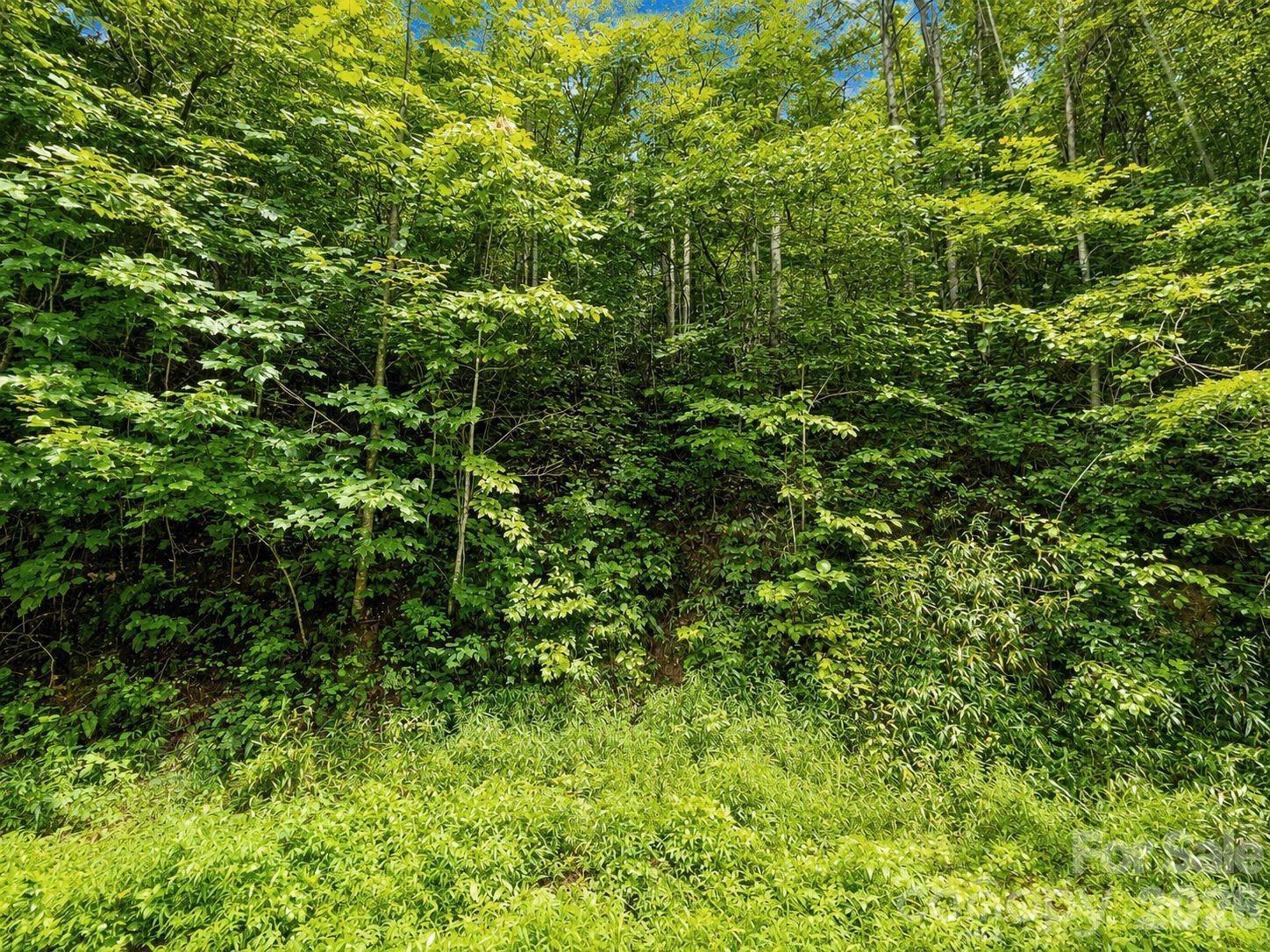 1000 Yonah Trail Unit: 7