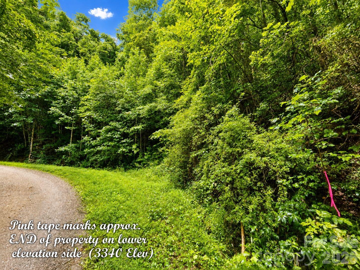 1000 Yonah Trail Unit: 7