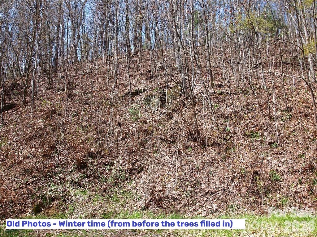 1000 Yonah Trail Unit: 7
