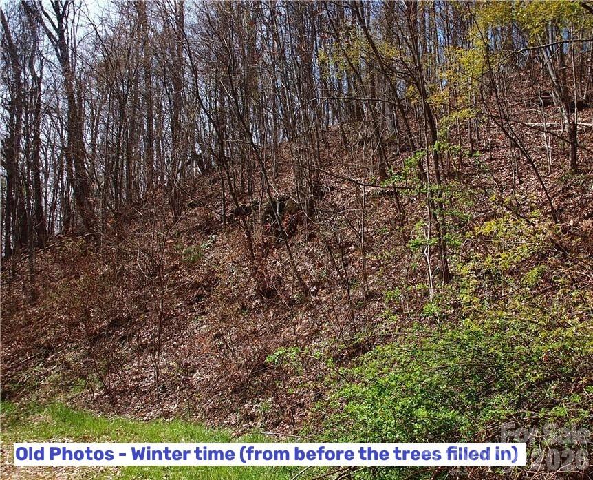 1000 Yonah Trail Unit: 7