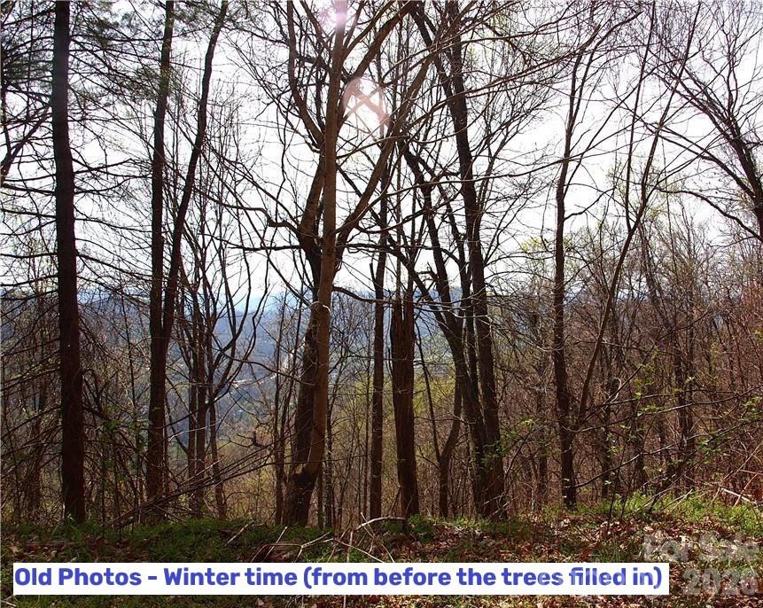 1000 Yonah Trail Unit: 7