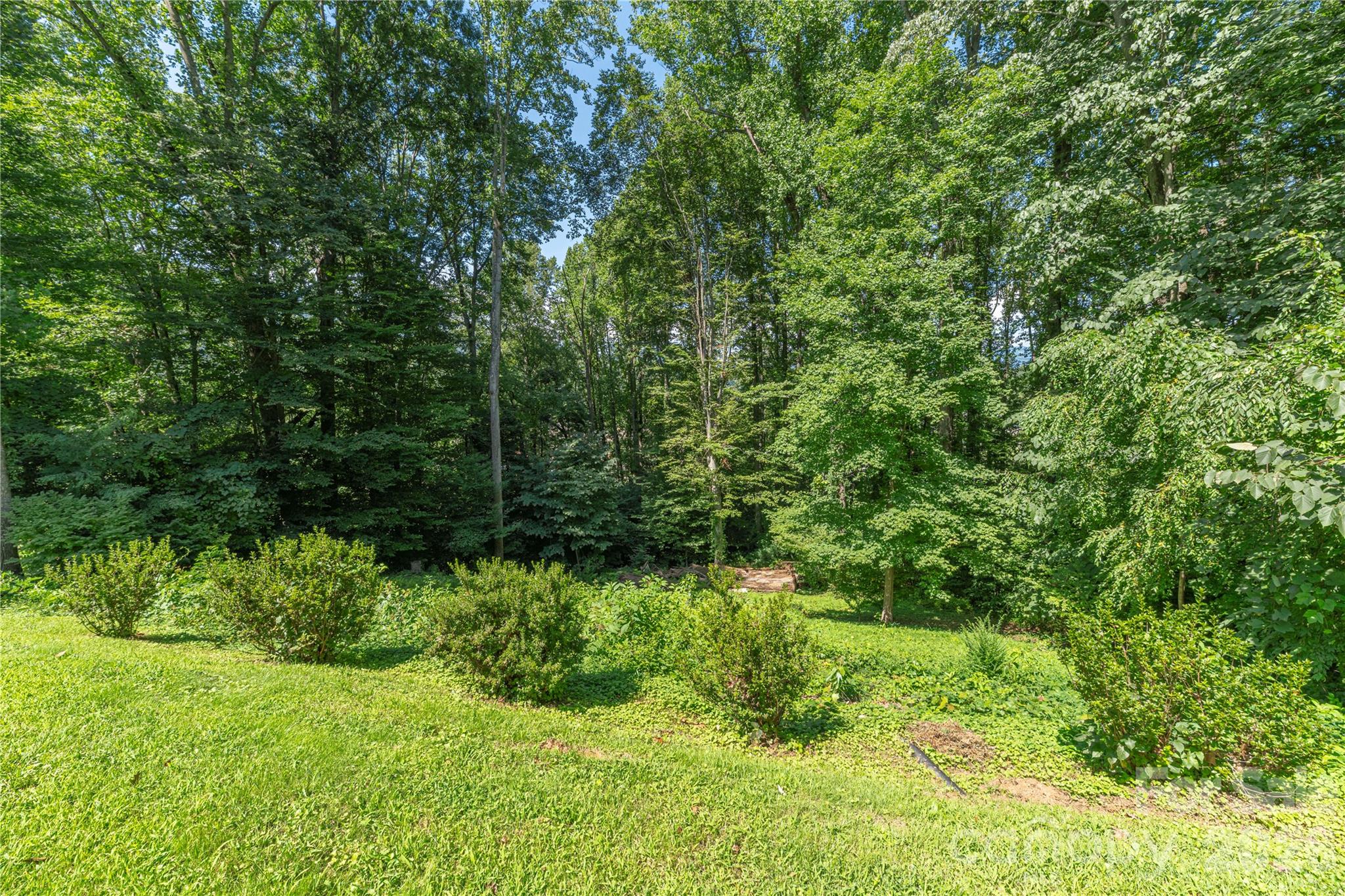 115 Hazelview Drive