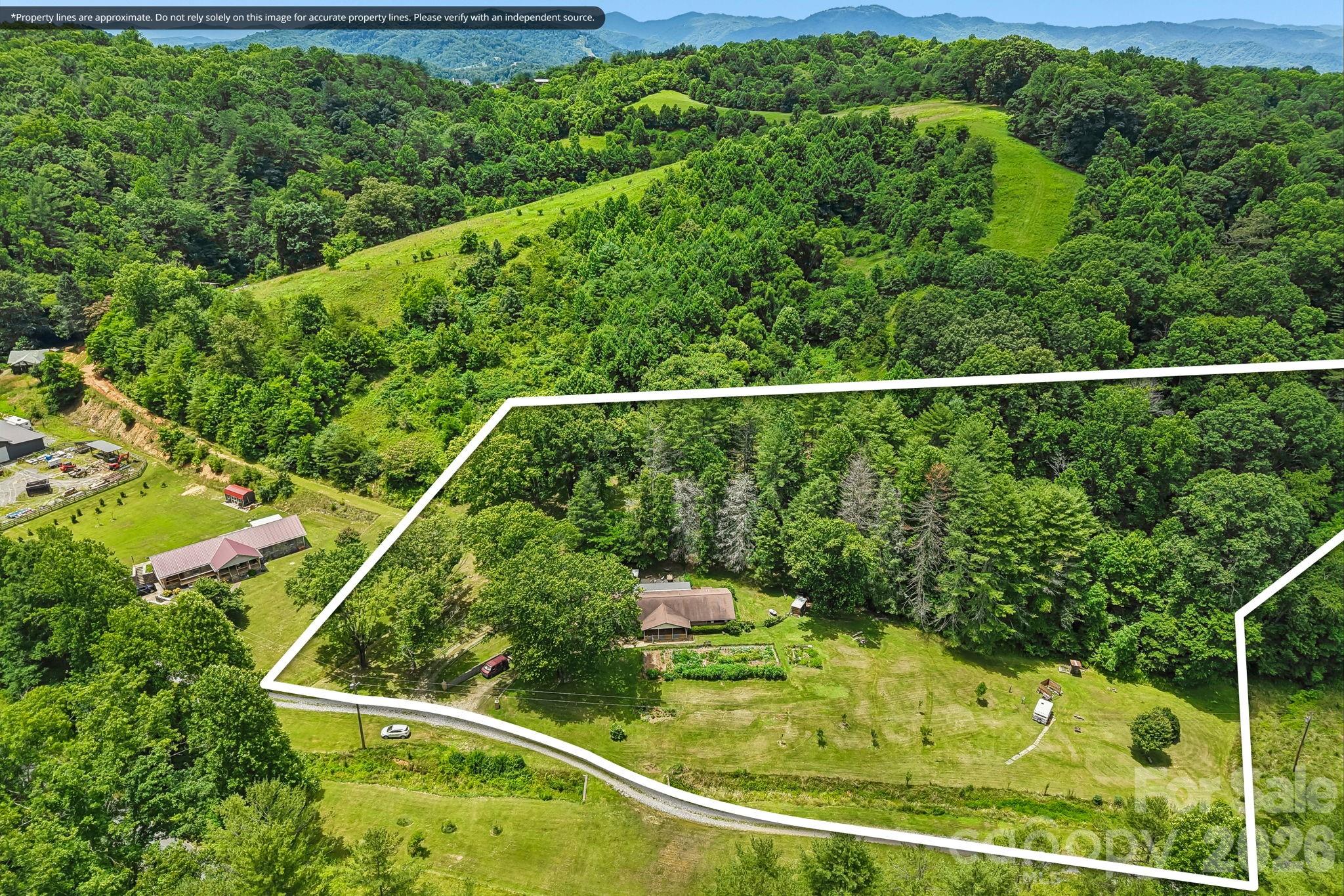 Aerial view of a wooded property with a house, garden, and white boundary lines.
