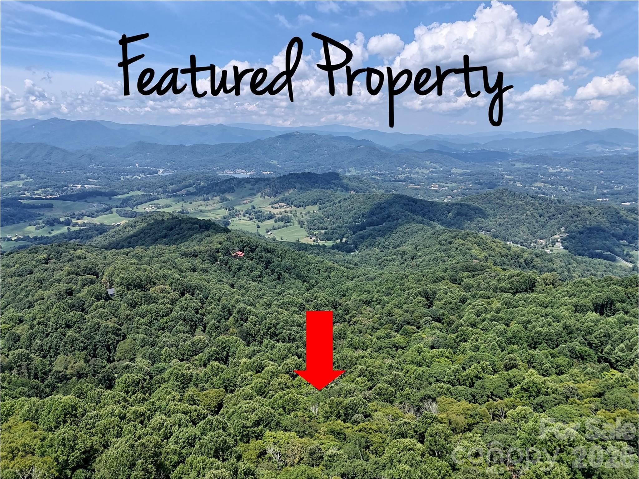Aerial view of wooded mountain acreage with a red arrow marking the featured property.