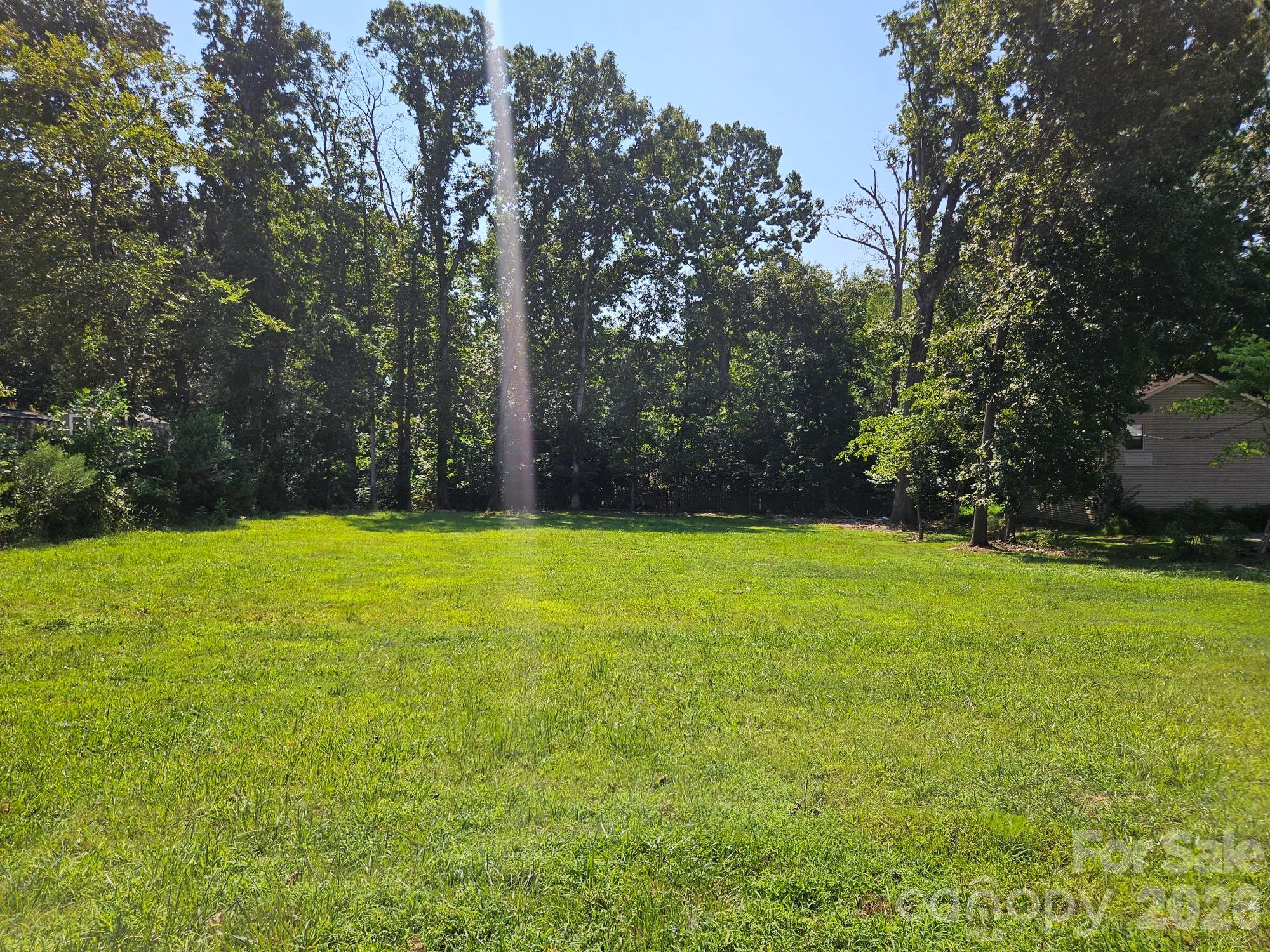 Sunny grassy yard bordered by mature trees, with a neighboring house partly visible.