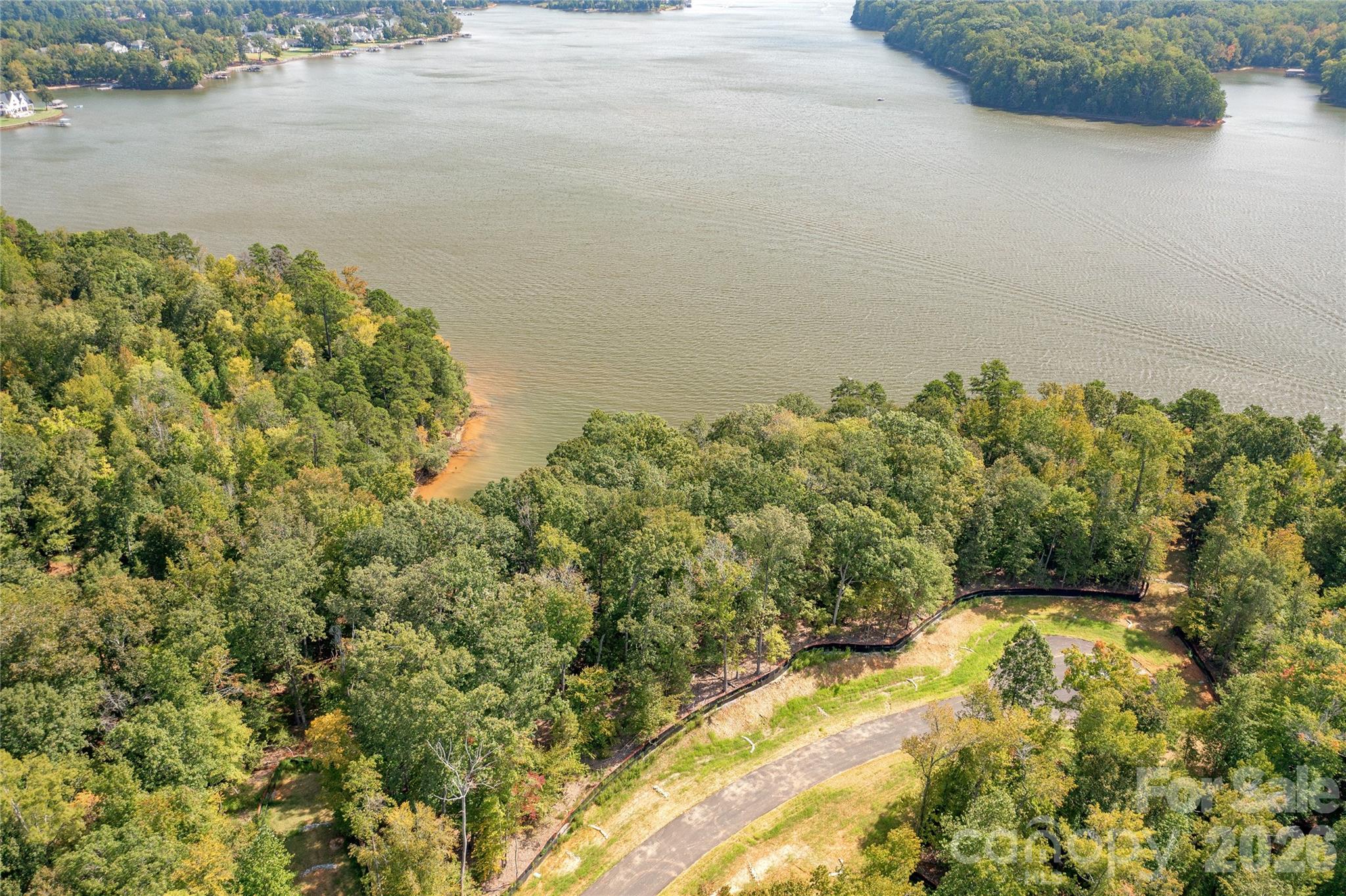 Aerial view of a wooded lake shoreline with a curved road and a small clearing.