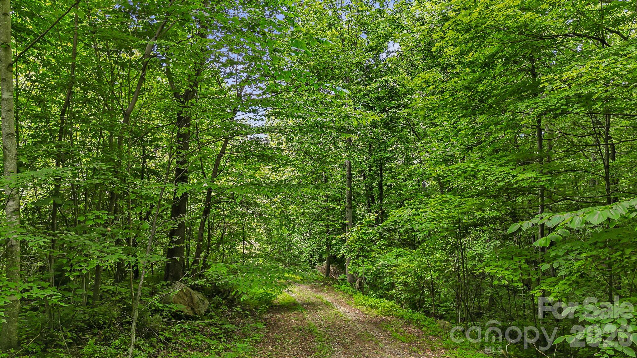 158 Sugar Cove Road