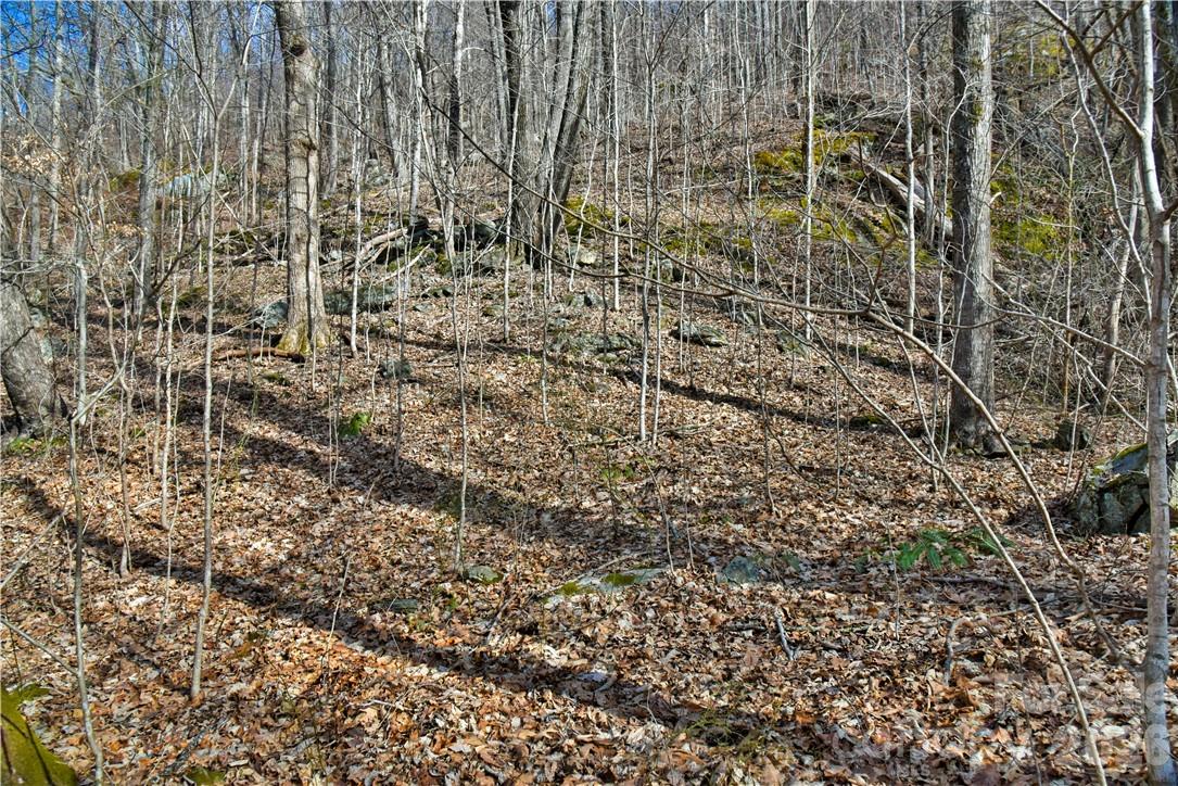 158 Sugar Cove Road