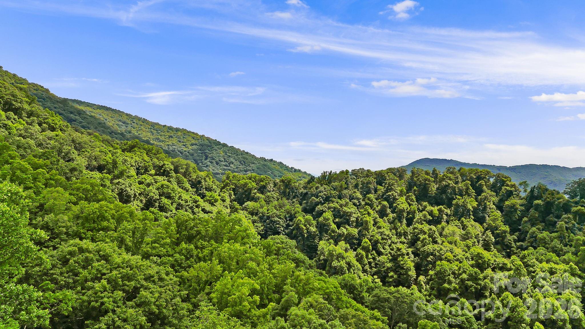 Panoramic view of green forested mountain ridges beneath a blue, cloud-streaked sky.