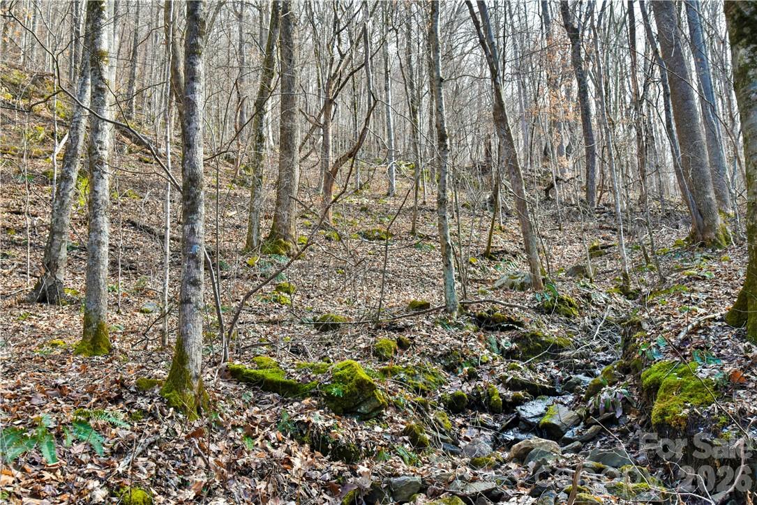 158 Sugar Cove Road
