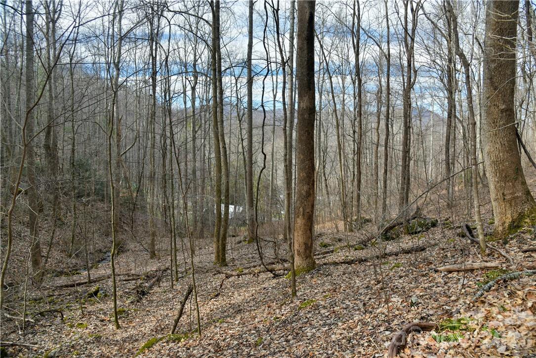 158 Sugar Cove Road